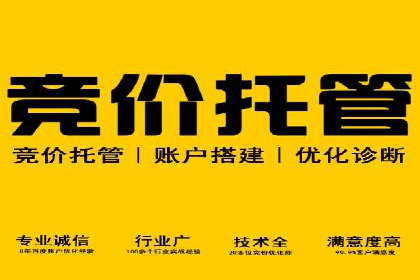 sem竞价托管代运营的实战技巧与案例